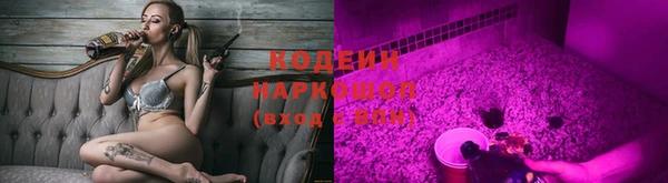 прущие грибы Кукмор