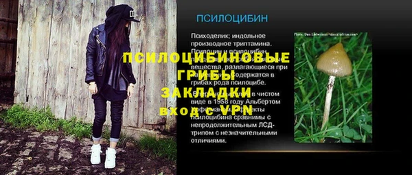 трава Лабытнанги