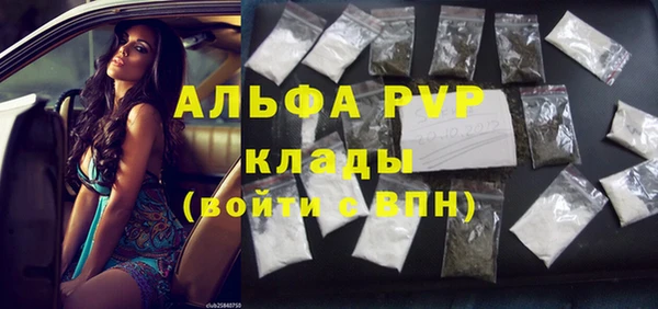 прущие грибы Кукмор